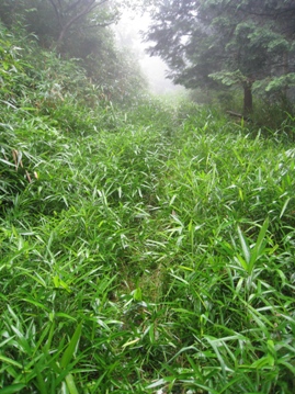 c0077338_21103078.jpg