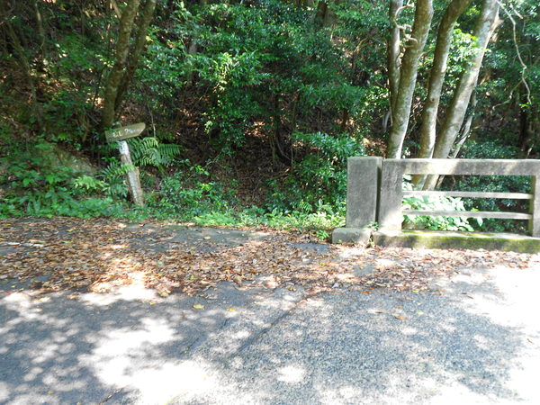 a0206345_1512469.jpg