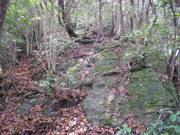 a0206345_15284198.jpg