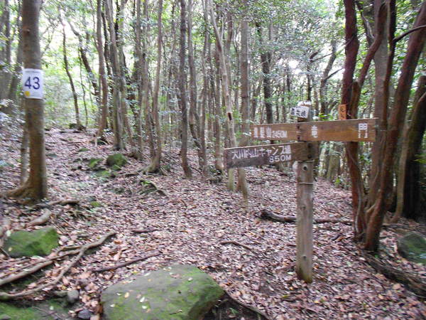 a0206345_15461573.jpg
