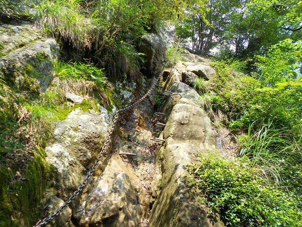 a0206345_1611683.jpg