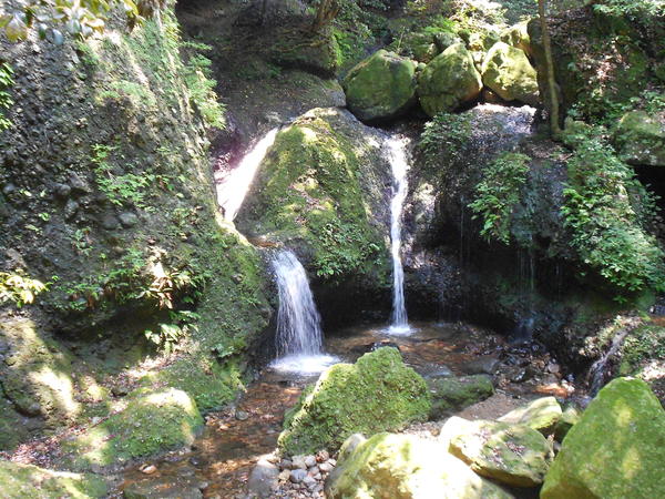 a0206345_1621116.jpg