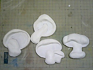 a0192147_16415064.jpg