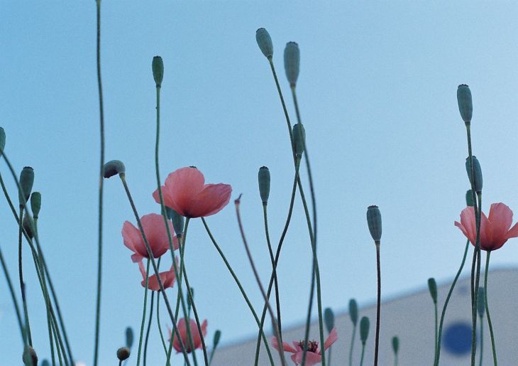 b0170947_10345141.jpg