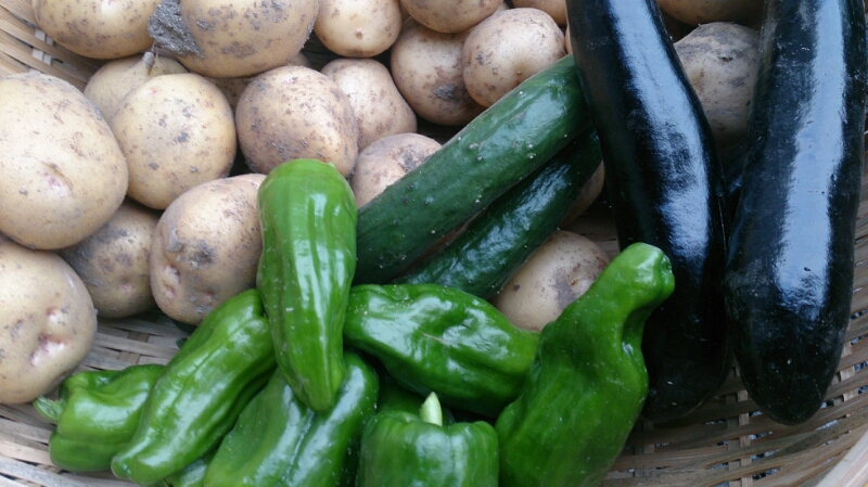 f0341250_7104555.jpg
