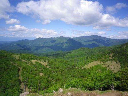 f0196654_147297.jpg