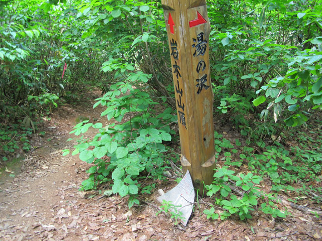 c0116856_1357391.jpg