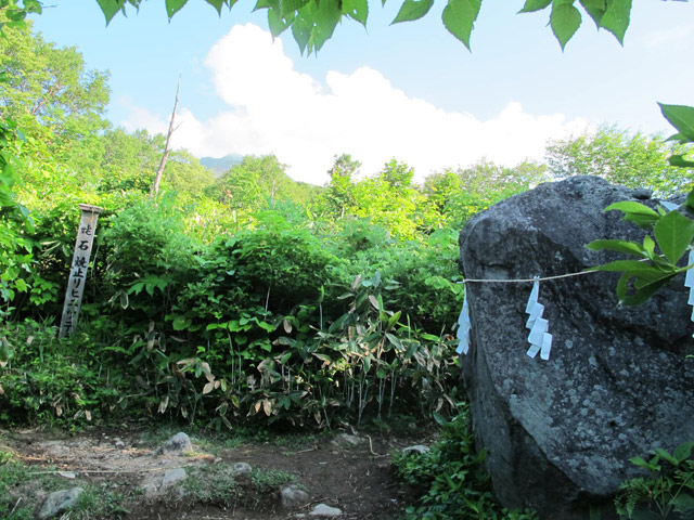 c0116856_1363161.jpg