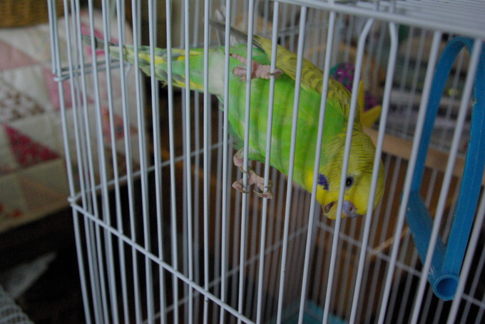 b0232459_14113333.jpg