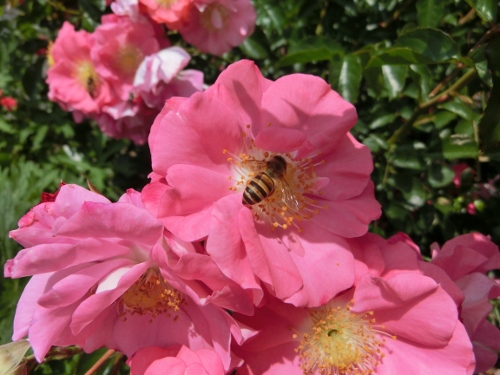 c0328559_2244482.jpg