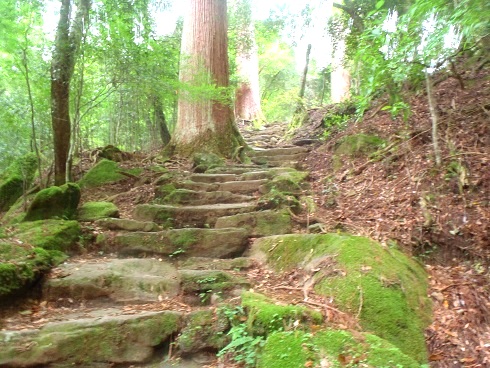 c0119160_12471427.jpg