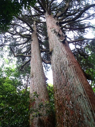 c0119160_12493474.jpg