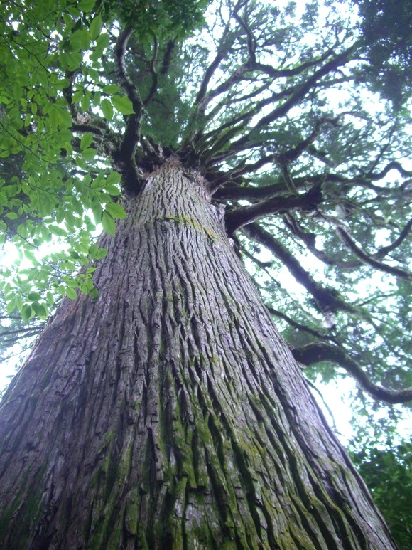 c0119160_13103695.jpg