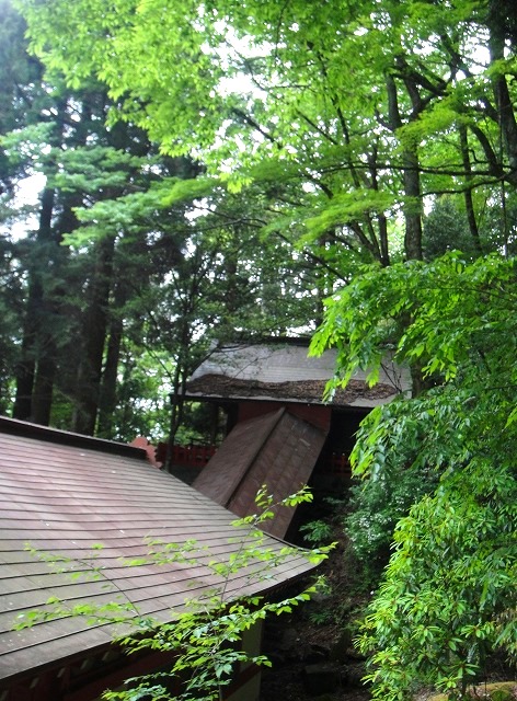 c0119160_13261754.jpg