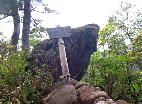 c0119160_13365352.jpg