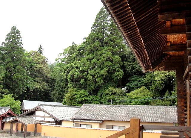 c0119160_5525947.jpg