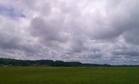 e0271461_208123.jpg