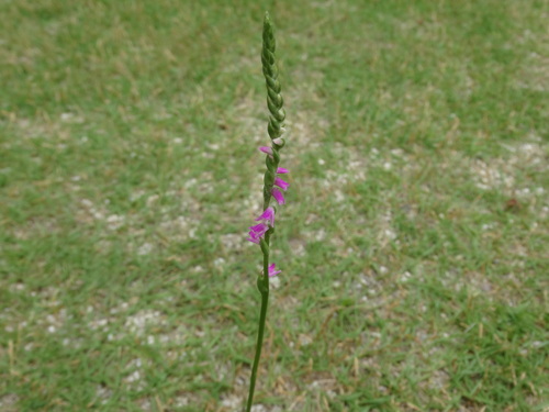 f0231573_21173590.jpg