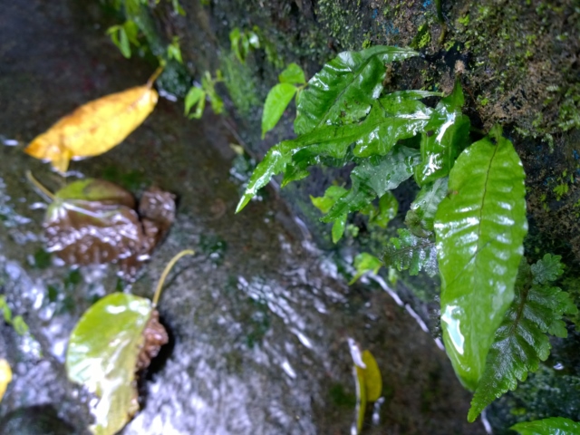 a0067578_9192329.jpg