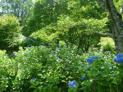 a0243983_23462271.jpg