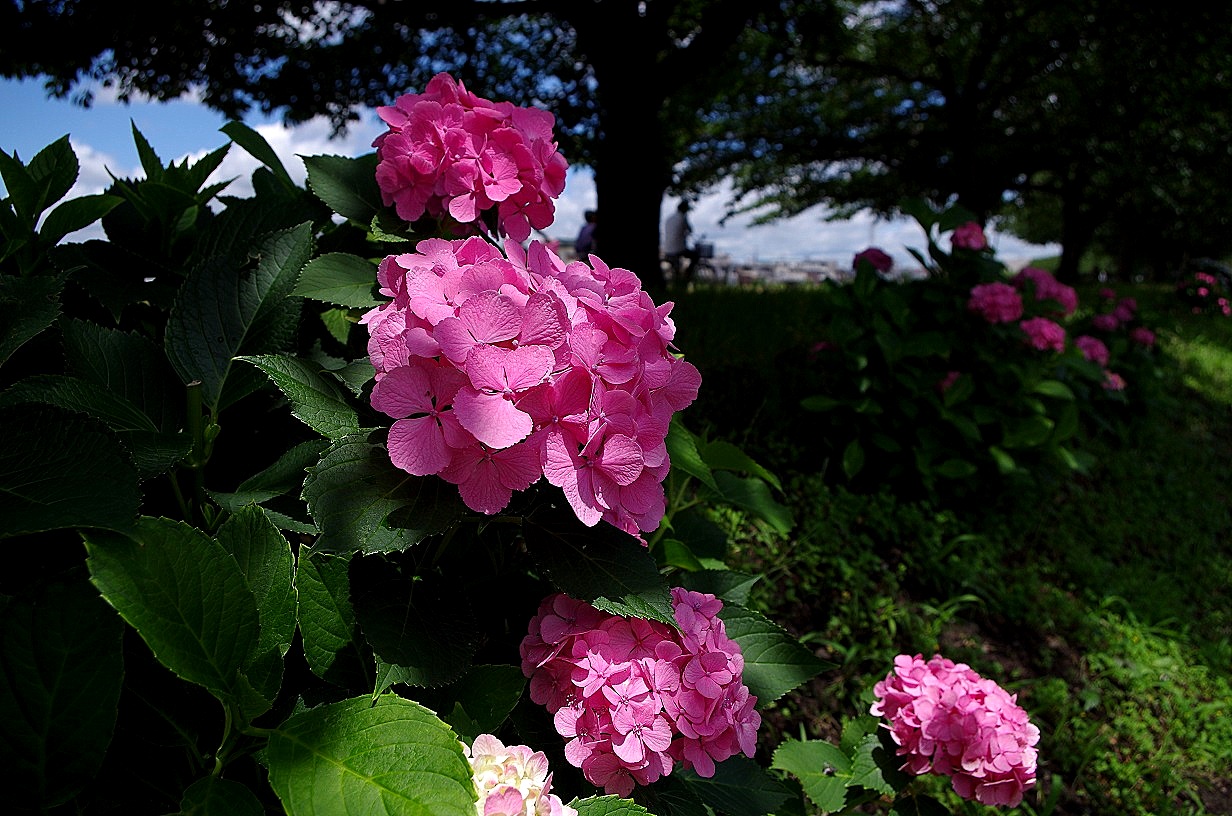 f0170885_13553815.jpg