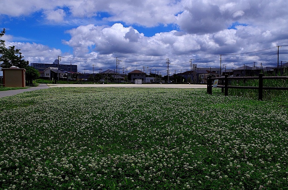 f0170885_1815249.jpg