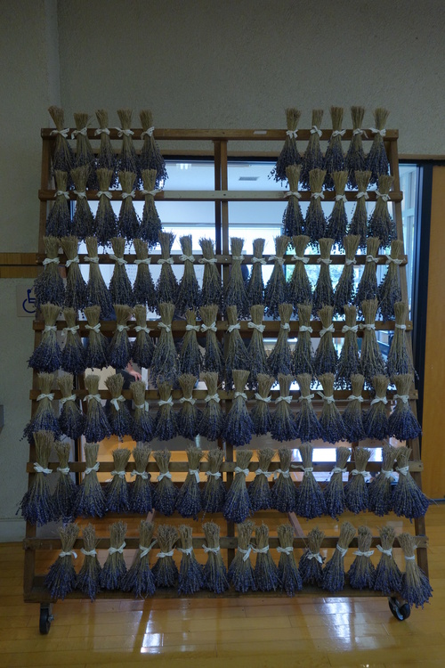 a0110787_14373749.jpg