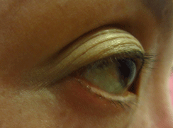 f0110488_21334544.gif