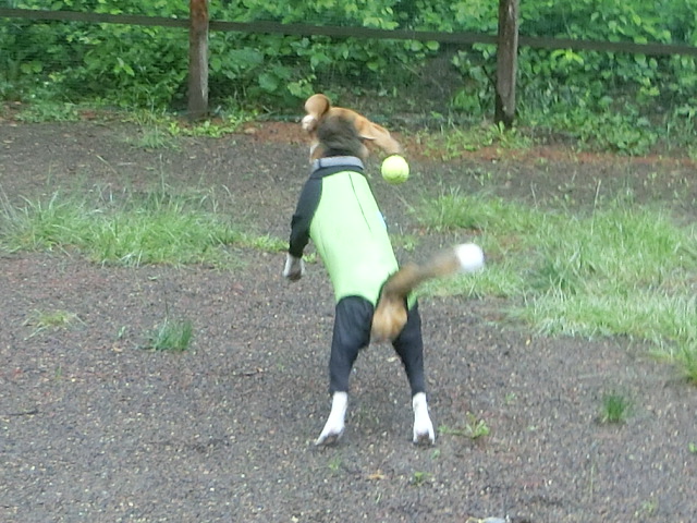 a0319693_21193330.jpg