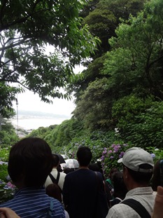 b0146196_1458356.jpg