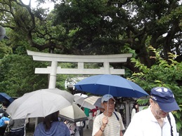 b0146196_1572359.jpg