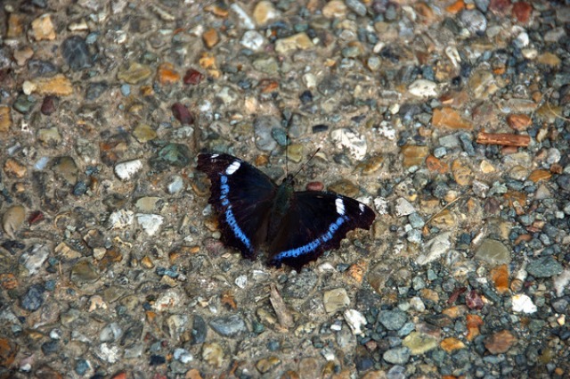 d0313296_24505.jpg