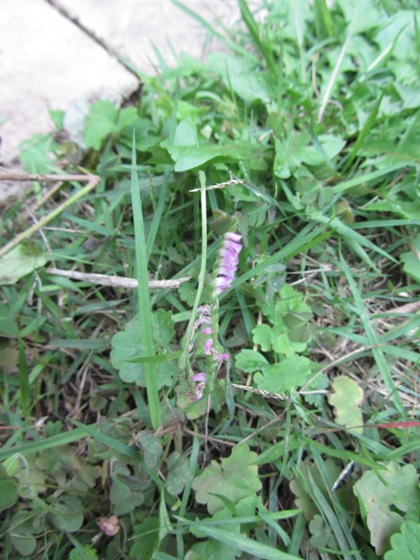 e0033301_1833421.jpg