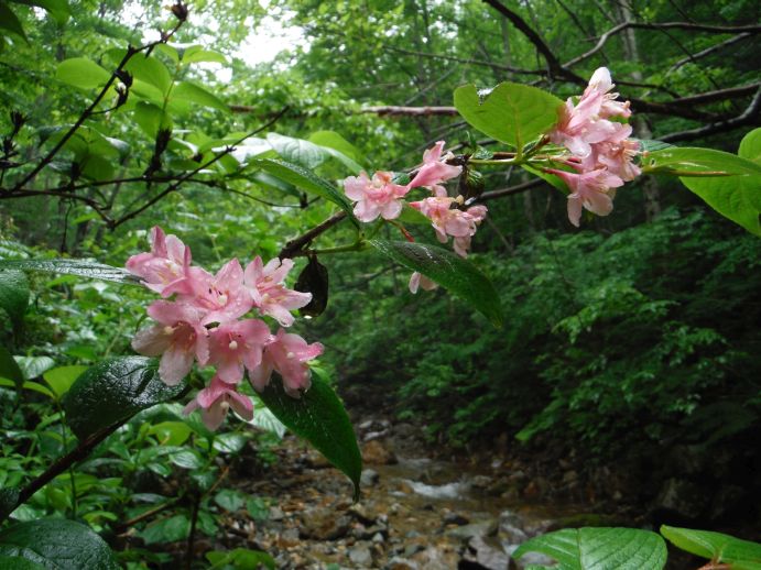 b0172805_030119.jpg