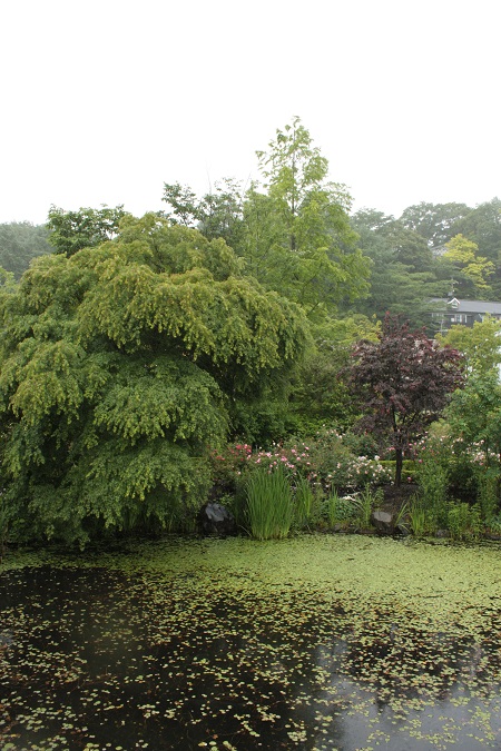 d0001008_21195532.jpg