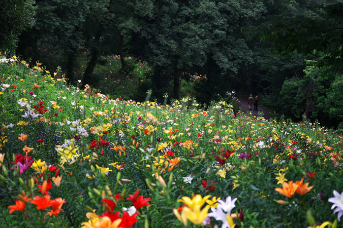 a0263109_1742135.jpg