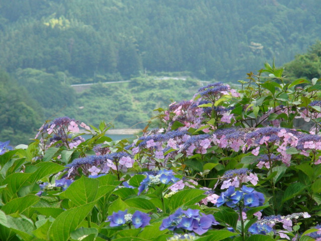 f0231709_016248.jpg