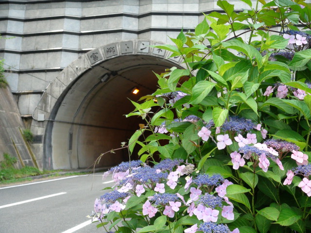 f0231709_0171693.jpg