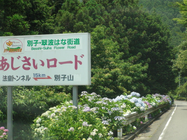 f0231709_055688.jpg