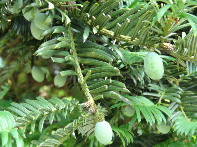 f0231709_15565243.jpg