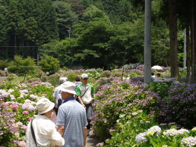 f0231709_7375380.jpg