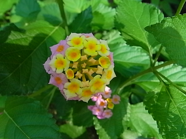 f0341616_6205380.jpg