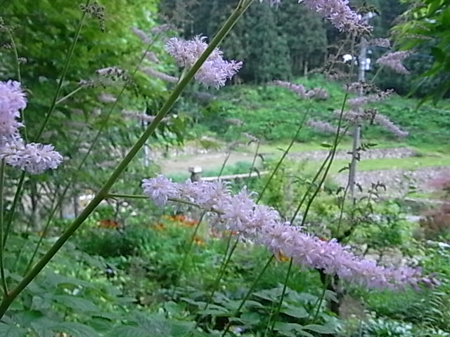f0341616_6442633.jpg
