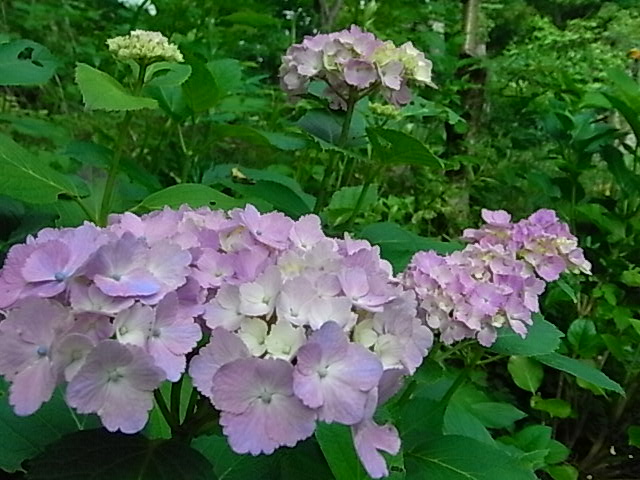 f0341616_6485482.jpg