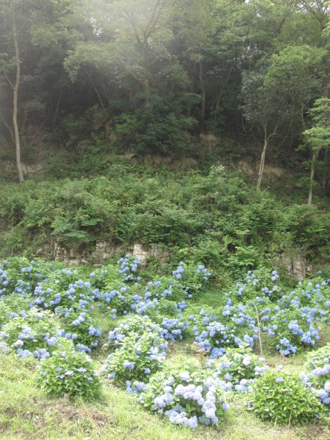 a0239418_18462001.jpg