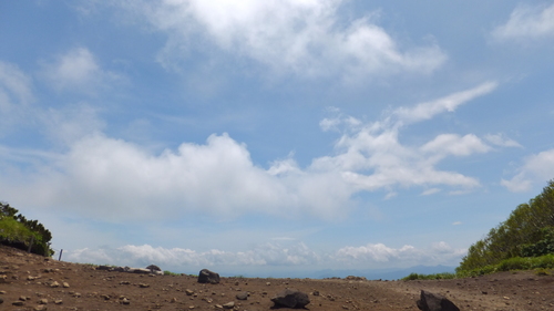 b0300818_1322437.jpg