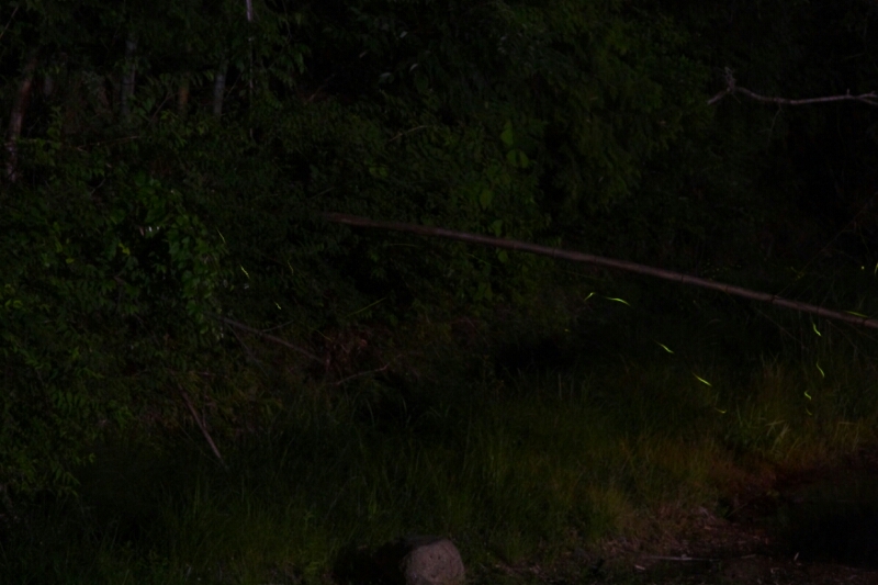 b0310518_1322829.jpg