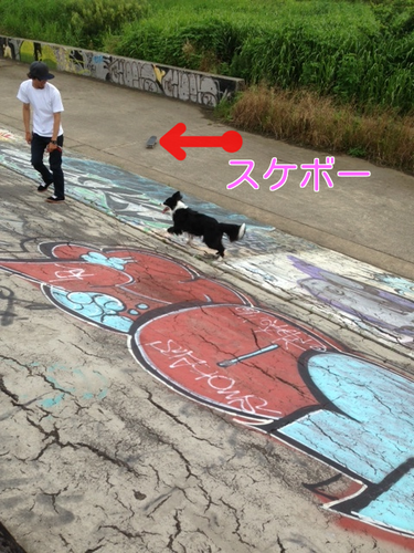 a0232619_20314194.png