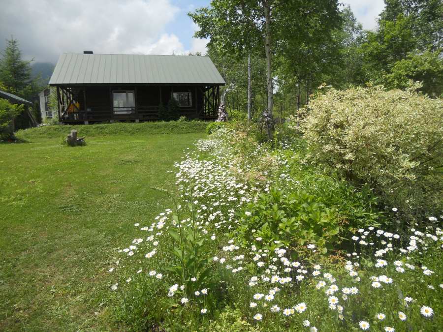 d0143719_16002137.jpg