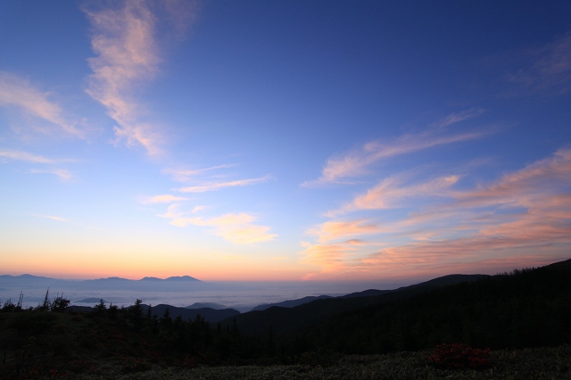 e0242721_9475131.jpg